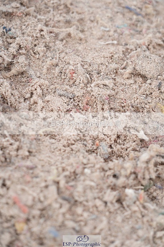 250608-105554-02225 - Cls 5 Pony Discovery and 90cm