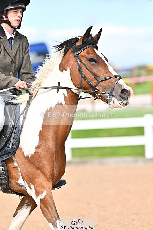 240723A-164013-00205 - 70cm