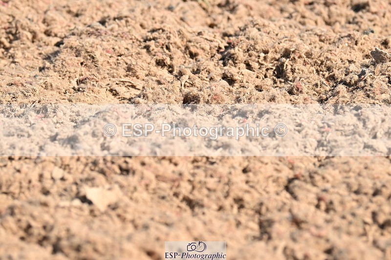 240621A-092336-01199 - Cls 1 BD Prelim 15