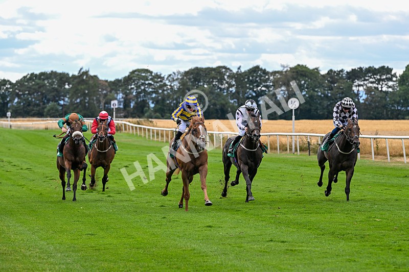 070826-Race 4-Azuinthejungle-1822 - Race 4 15.40pm Ladies' Day Saturday 5th September - Book Now Handicap