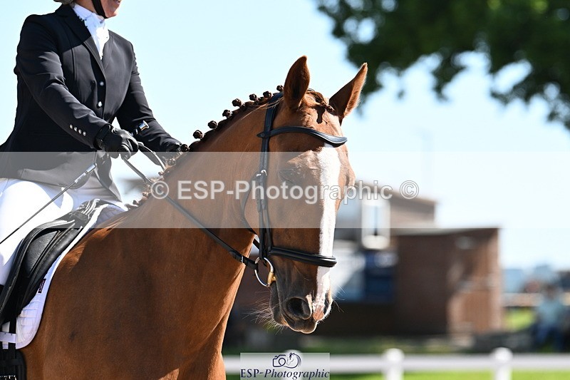 240621A-101336-01734 - Cls 2 BD Prelim 19