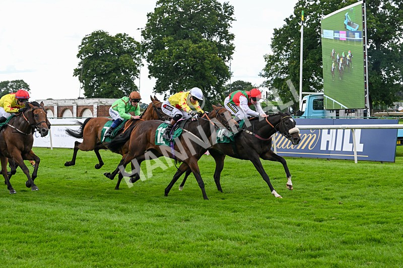 170724-Race 5-Abruzzo Mia-0247 - Race 5