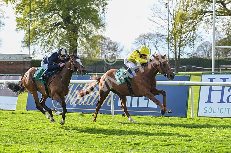 220425-Race 3-Teroomm-8932 - Race 3