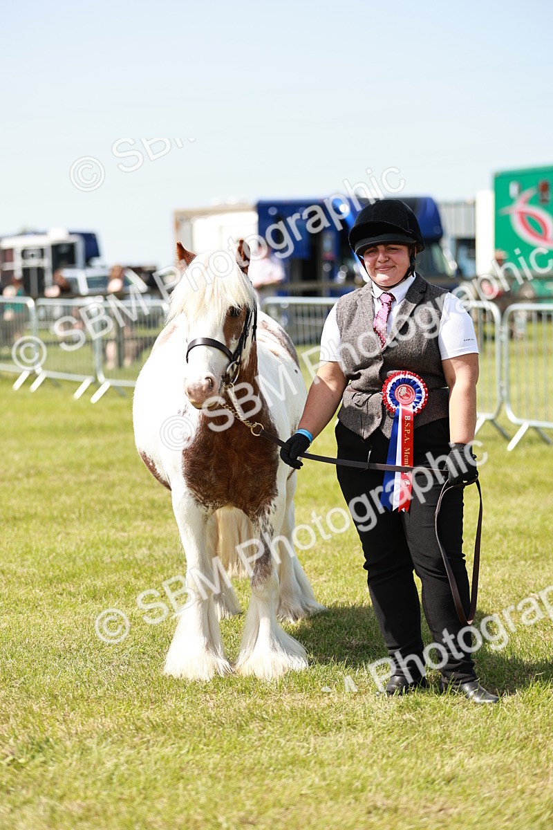 SBM_04294 - Class 39-40 - BSPA Coloured In Hand