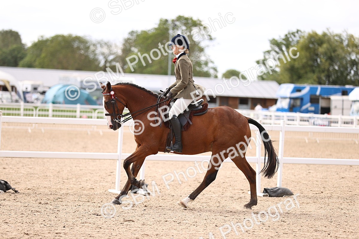 SBM_12946 - Class 410 - Grassroots Ridden - Horse