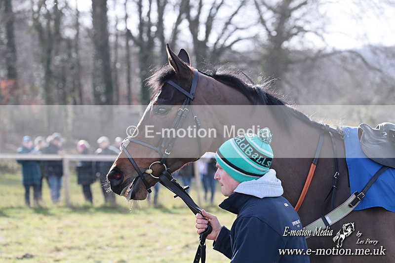 PtP 220225 3 - Kimblewick Point-to-Point  Kingston Blount 22/02/25