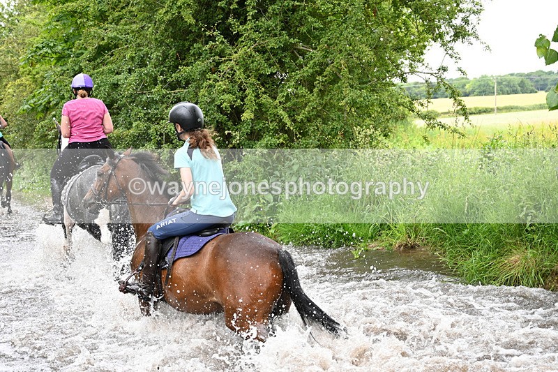 WJ7_2563 - Camera 2 Water Crossing