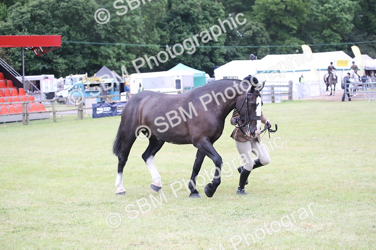 SBM_11264 - Class 92-93 - LIHS BSHA Rising Star Cobs