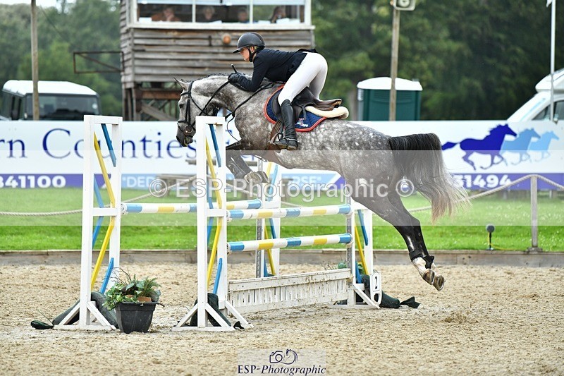 230715-163105-34178 - Cls 85 5 yr old Champ