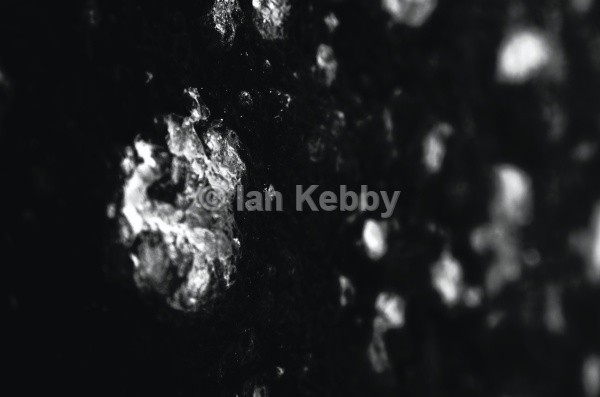  - Abstracts