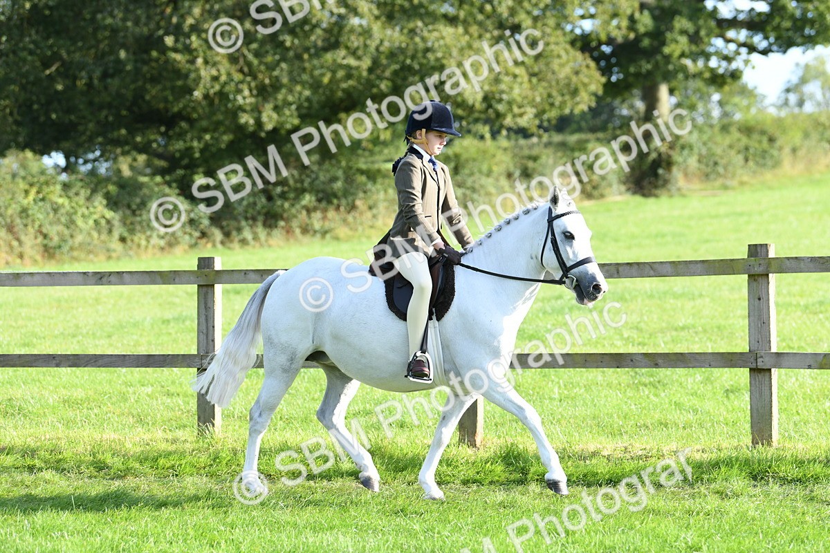 SBM_52381 - S22 - 1st Ridden Show & Show Hunter Pony
