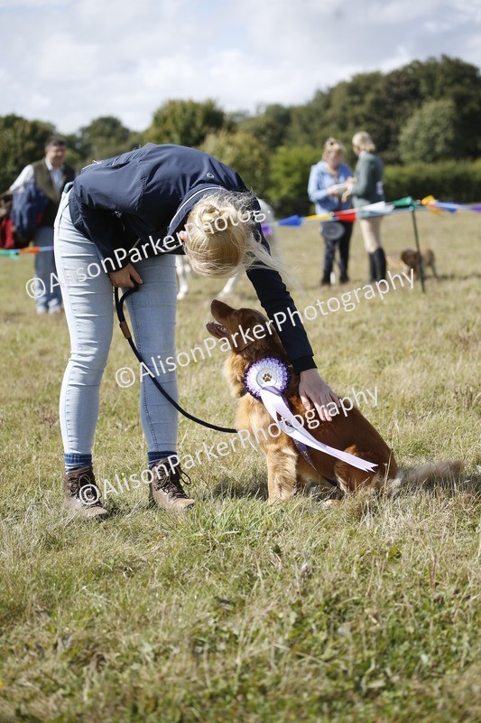20250831-3700 - Dog Show