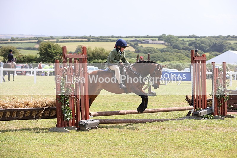 JPP_1820 - Class 18: Tiny Tots Working Hunter Pony