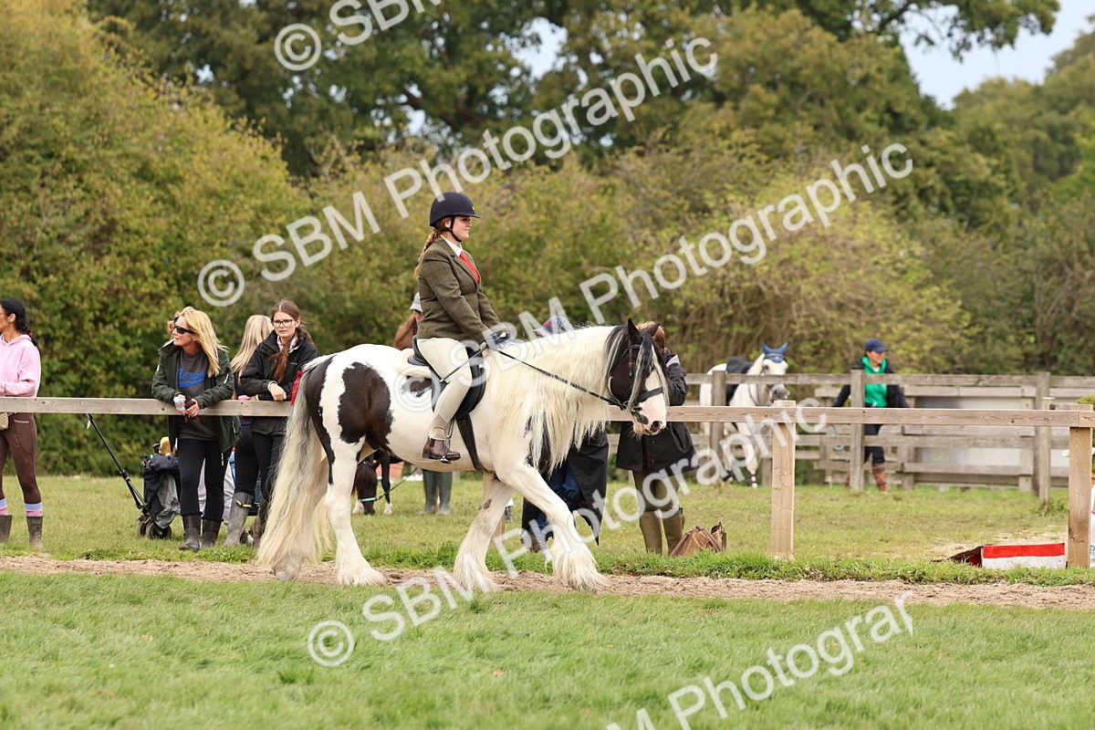SBM_64403 - S58 - Coloured Pony Ridden