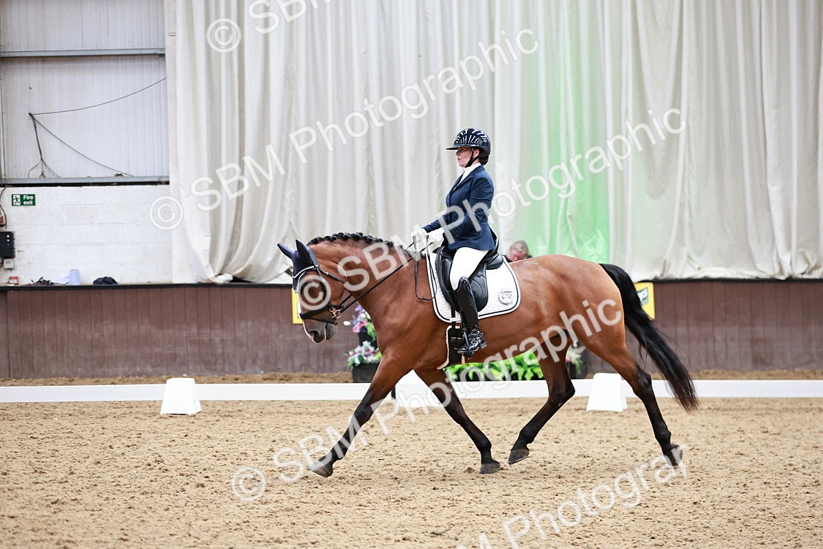 SBM_014252 - Class 7 - Ele FSM Bronze 12.12.13.08