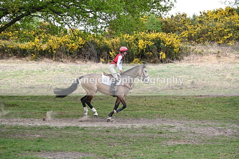 WJ6_0579 - Time 14:13 to 14:51