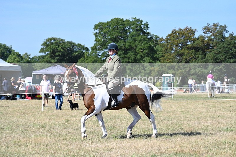 WJ7_3276 - Class 8 Ridden Tack & Turnout