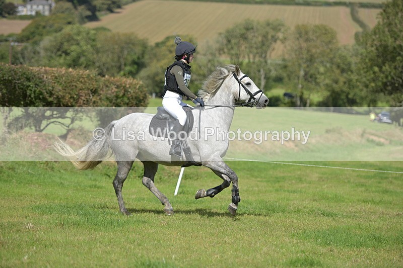 RAY_8678 - Class 2: Trekenning Open: Wall