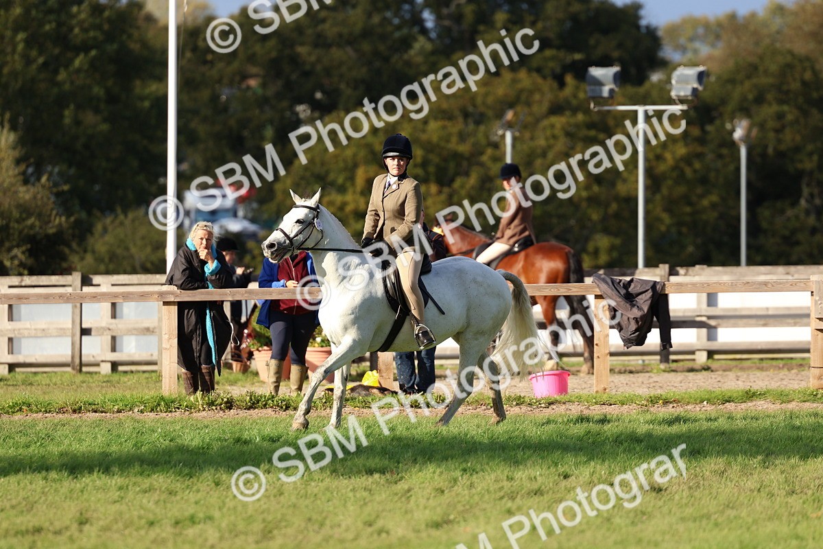 SBM_52512 - S13 - Pony Club Pony