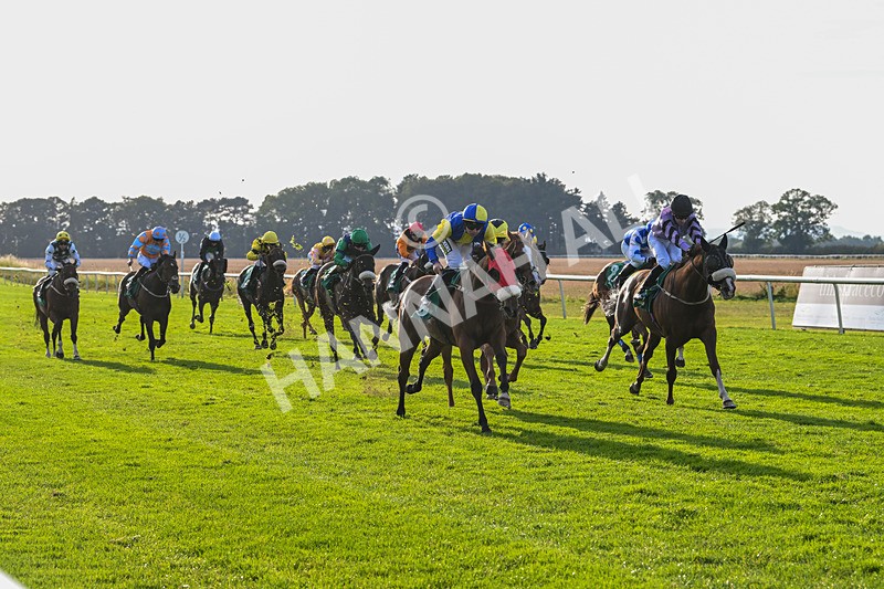 160924-Race 8-Sparkling Red-3367 - Race 8