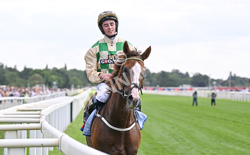 220826-160 Daiquiri Bay - Race 4 15.35pm Sky Bet Ebor Handicap