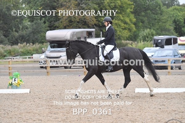 BPP_0361 - ELEM 6 & 4