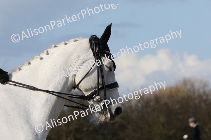 20260314-5765 - DR 7 - Elementary 1