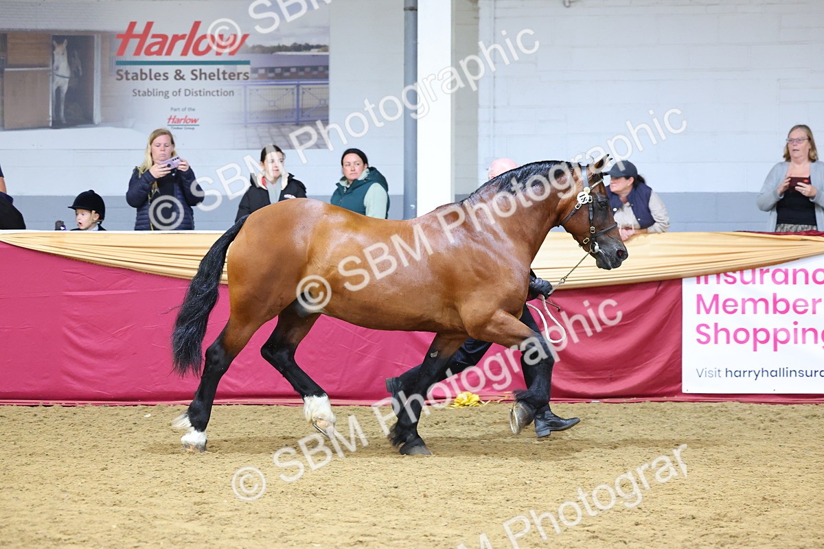 SBM_23209 - Supreme Final - IH Champion