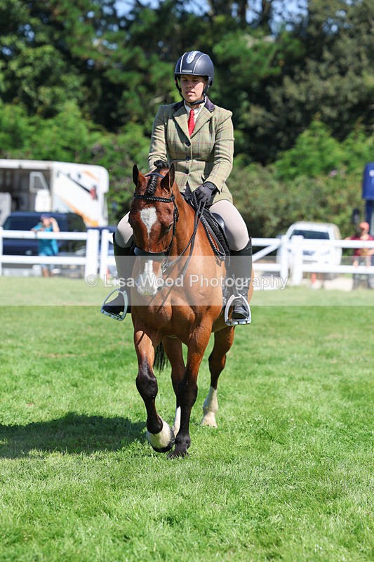 3E7A8536 - Class 5: Working Show Horse