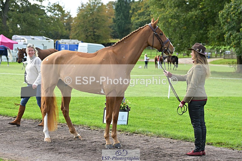 241023-131709-00178 - 010-Julia.Norman-SCOTCH.ON.THE.ROCK'Z