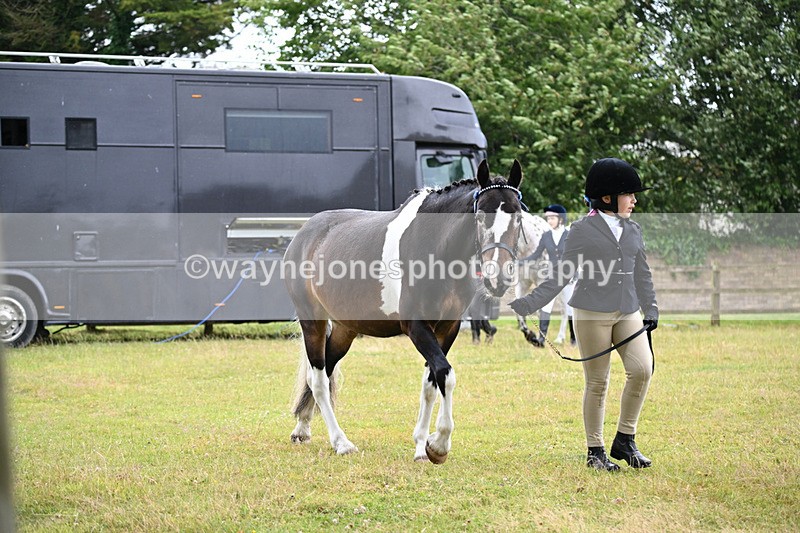WJ6_8686 - Class 10 Coloured in-hand