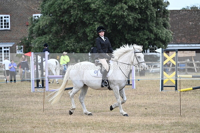 WJ7_0956 - Class 7 Riding Club Show Horse