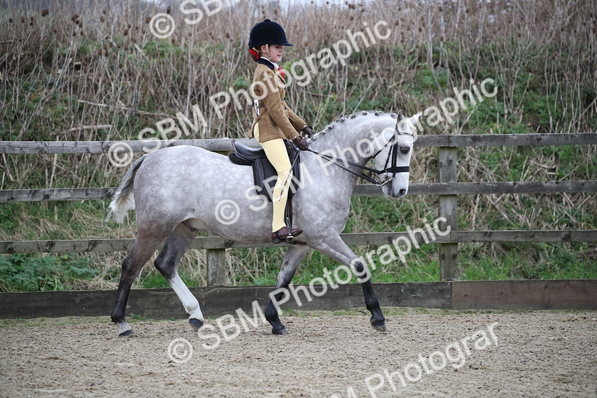 SBM_004641 - Class 5-9 - NPS In Hand-Show Hunter-Intermediate Ridden Inc Ridden Championship