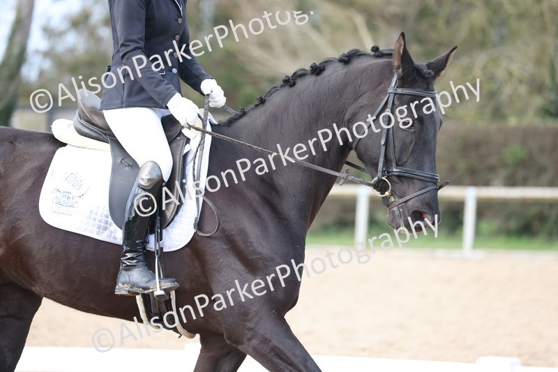 20260301-0726 - Class 4 - Novice 5