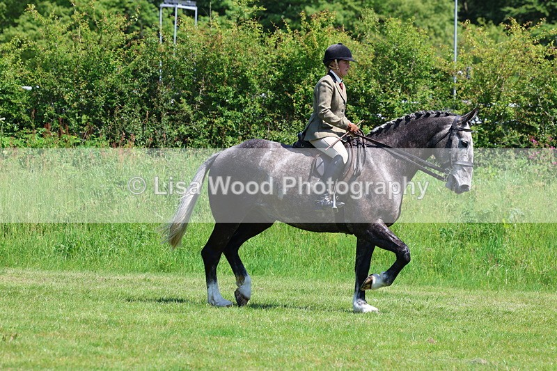 3E7A8233 - Class 13: Ridden Hunter