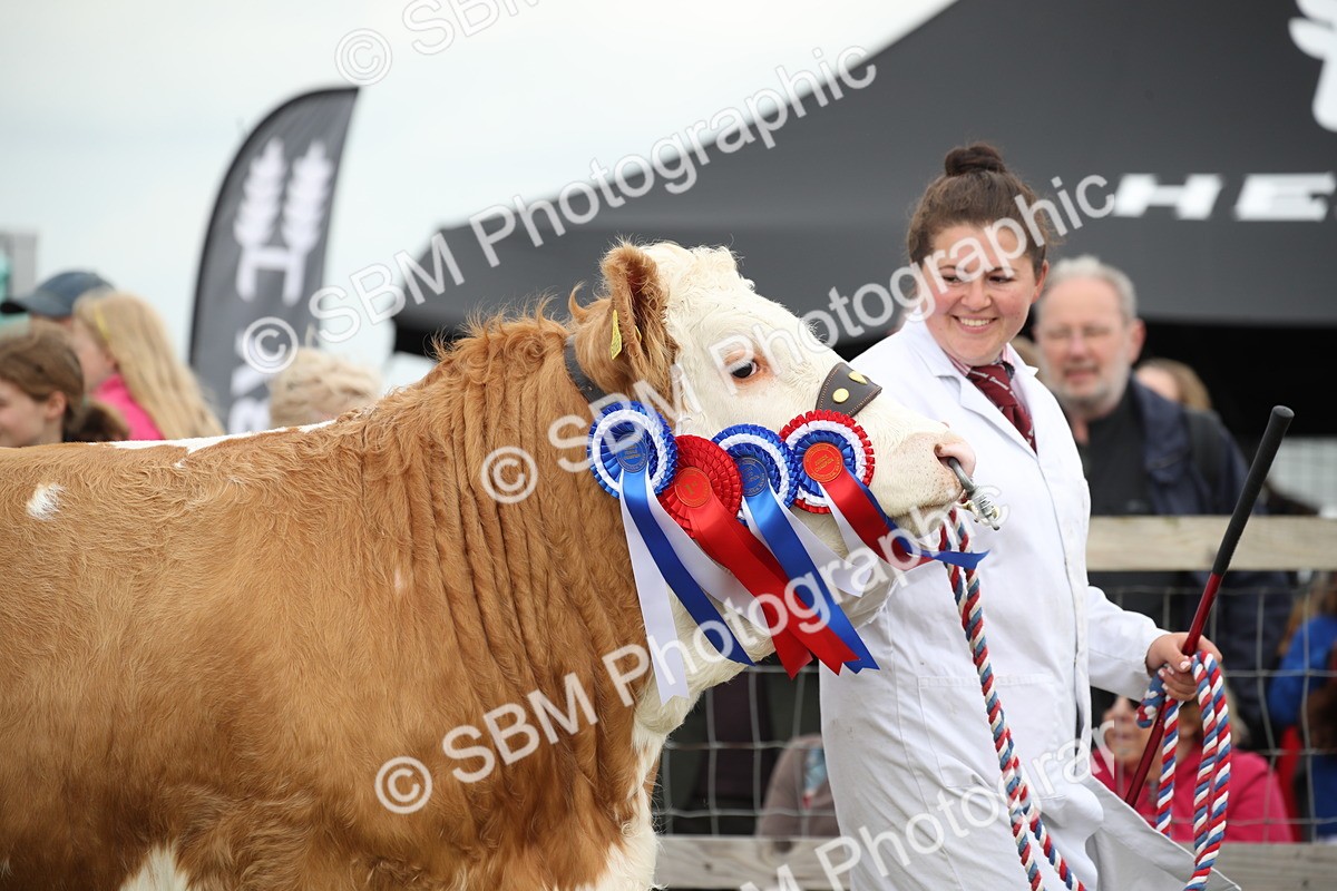 SBM_07866 - Grand Parade