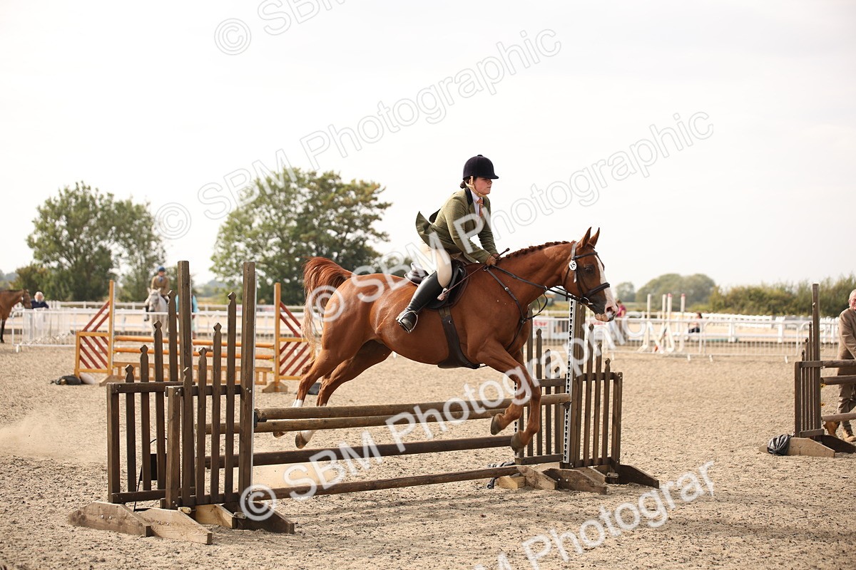 SBM_17307 - Class 410a - Wor5king Veteran 90cm (15-19)