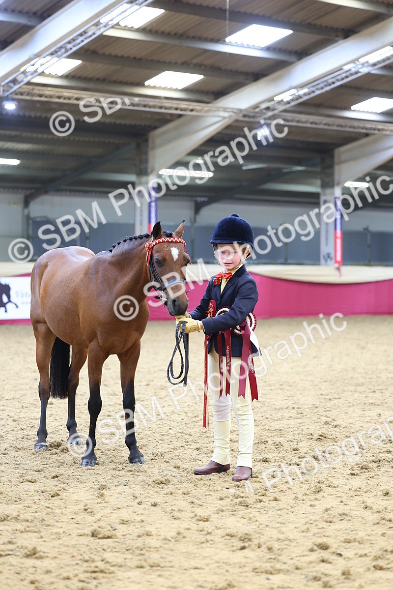 SBM_23032 - Class 903 - Supreme Final - IH Pre Vet