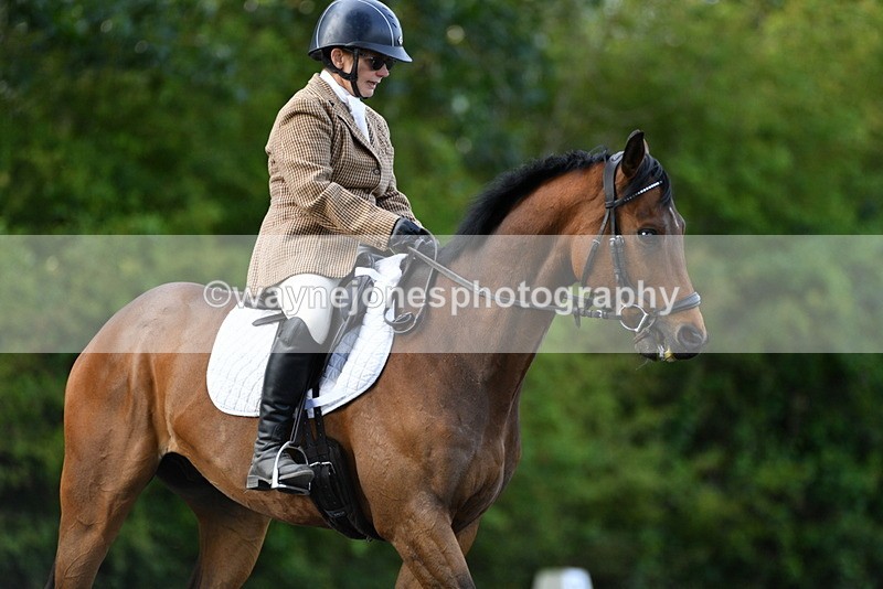 WJ5_8549 - Time 09:00 to 09:23