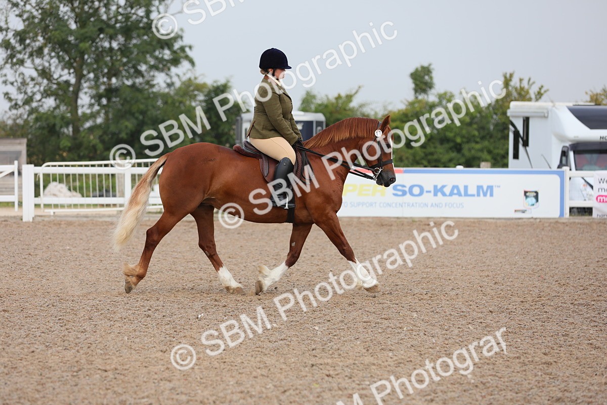 SBM_09983 - Class 302 Ridden M&M -Large Breeds