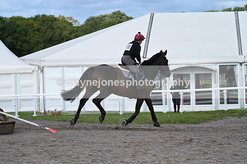 WJ7_0031 - Time 11:02 to 11:34