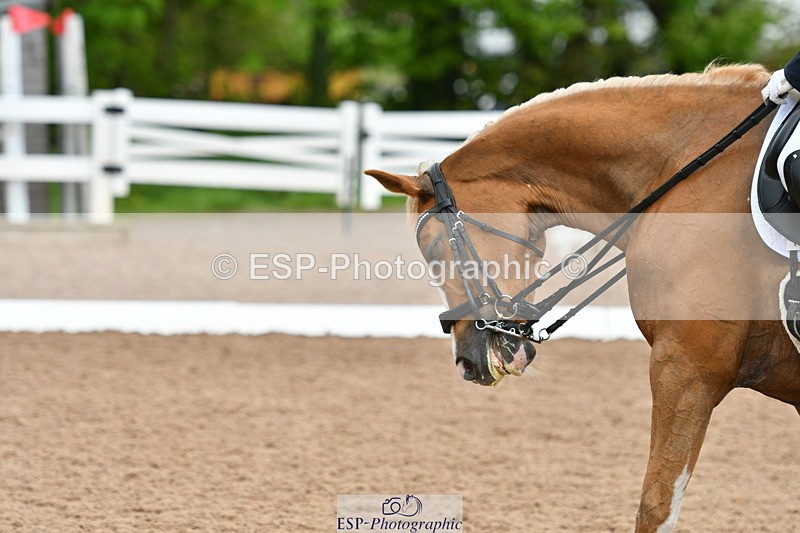 230511A-160337-01283 - BD Cls 18 FEI PSG