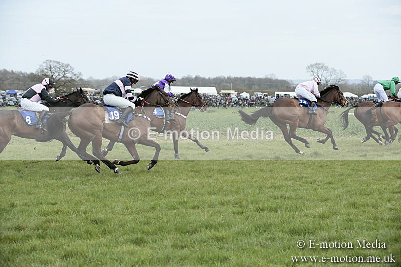 PtP 230319 200 - VWH Hunt Siddington Point-to-Point Racing 23/03/19