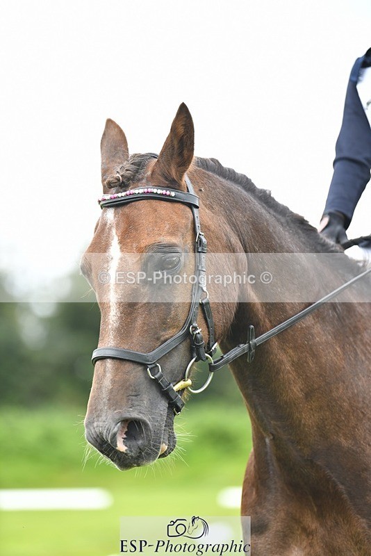 230826-134658-19883 - PC 70 1pm to 2pm