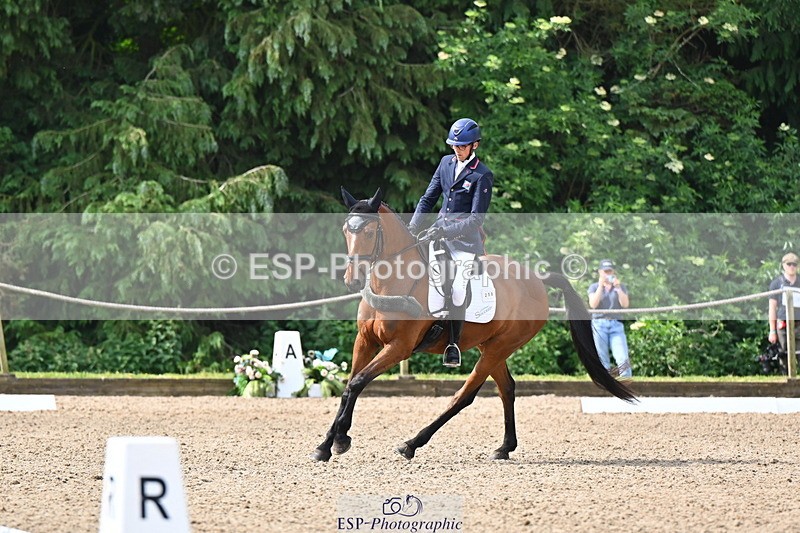 250523A-094139-05312 - C-258-Bill.Levett-ITALIAN.HARLEQUIN.NJ