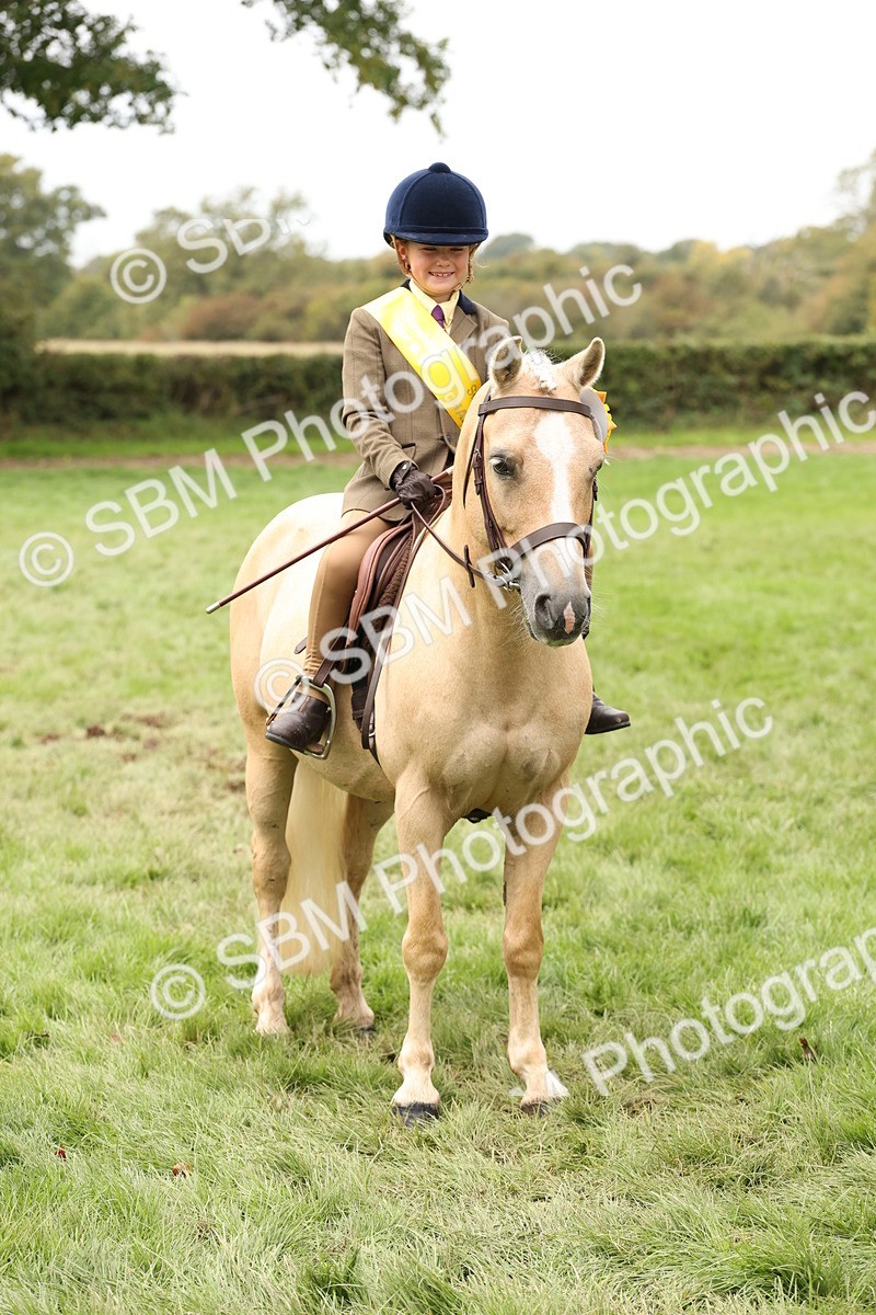 SBM_63052 - S64 - Foreign Breeds Ridden