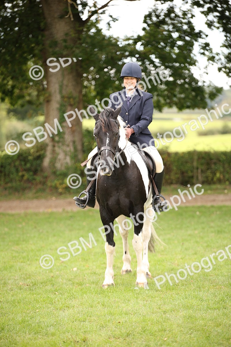 SBM_72358 - S67 - Show Cob Ridden