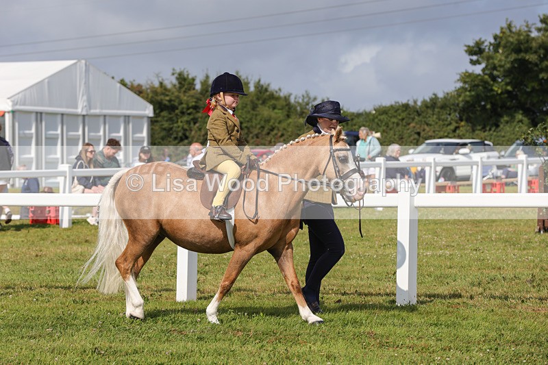 1X9A3549 - Class 29: Lead Rein SP/SHP