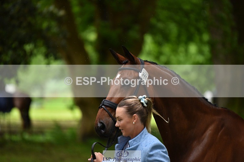 240522-162010-00842 - 240-KINDA_CORVETTE-Dani_Evans