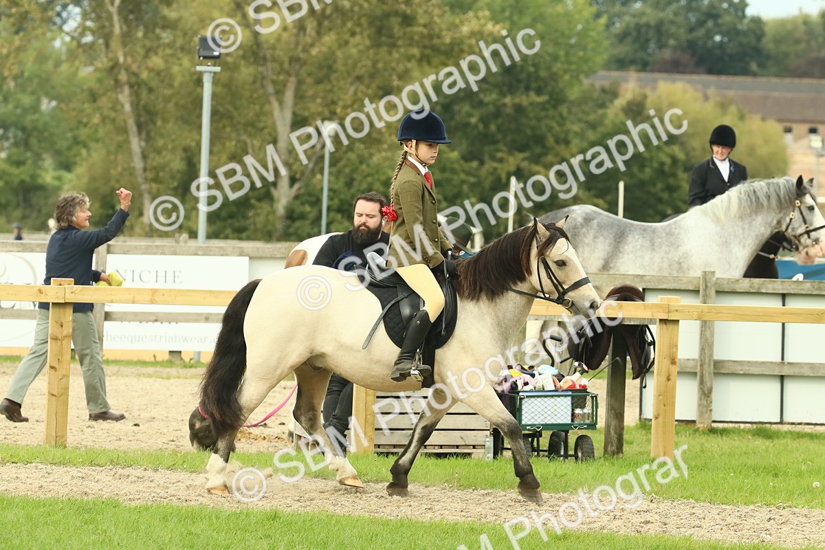 SBM_69944 - S59 - Mountain & Moorland Ridden Small Breeds